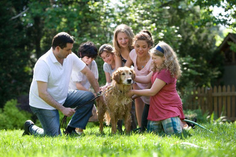 The Influence of the Relationship Between Parents on the Child: The Importance of Family Harmony